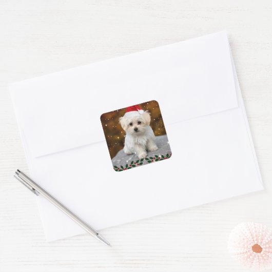 Maltese kerstpuppy vierkante sticker (Envelop)