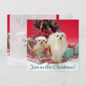 Maltese kerstuitnodigingen kaart (Voorkant / Achterkant)