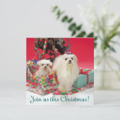 Maltese kerstuitnodigingen kaart (Staand voorkant)