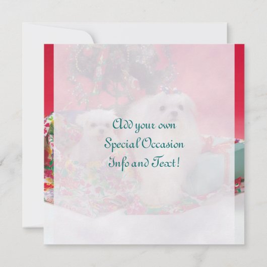 Maltese kerstuitnodigingen kaart (Achterkant)