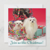 Maltese kerstuitnodigingen kaart (Voorkant)