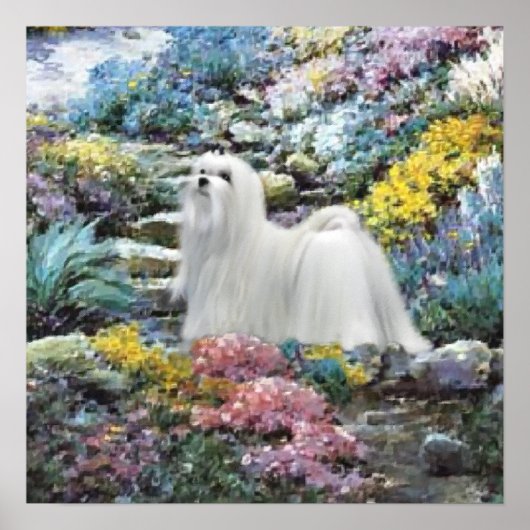 Maltese kunst waar liefde groeit poster (Voorkant)
