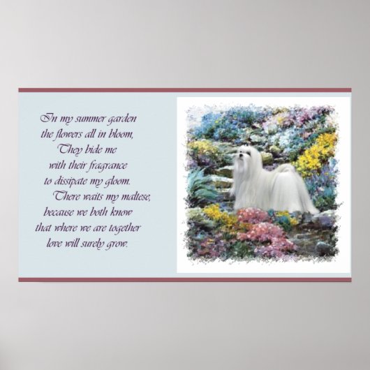Maltese kunst waar liefde groeit poster (Voorkant)