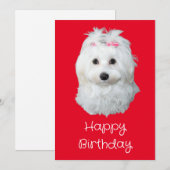 Maltese LiLi Hond Wit Puppy Foto Feestdagenkaart (Voorkant / Achterkant)