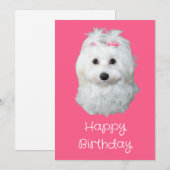 Maltese LiLi witte puppy foto Feestdagenkaart (Voorkant / Achterkant)