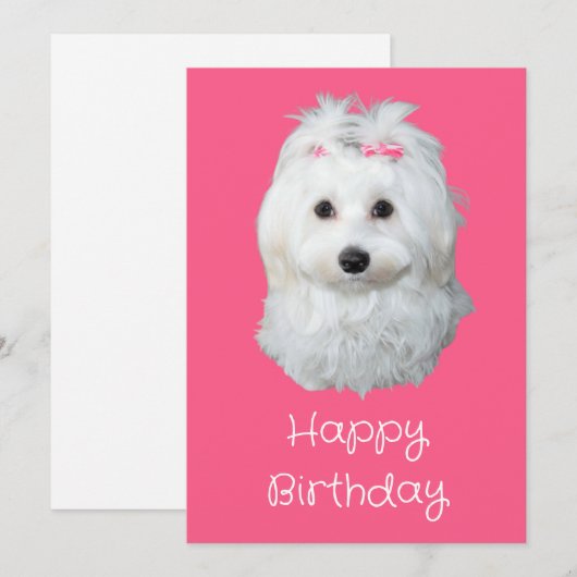 Maltese LiLi witte puppy foto Feestdagenkaart (Voorkant / Achterkant)