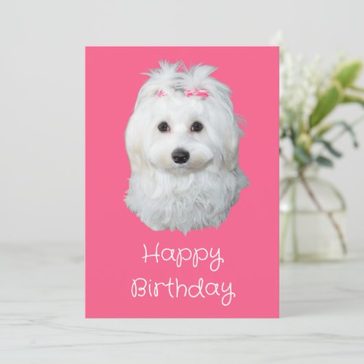 Maltese LiLi witte puppy foto Feestdagenkaart (Staand voorkant)