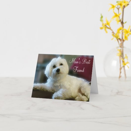Maltese Lover Note Cards Kaart (Gele Bloem)