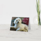 Maltese Lover Note Cards Kaart (Voorkant)