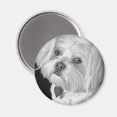 Maltese magneet (Voorkant / Achterkant)