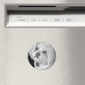 Maltese magneet (Insitu (Vaatwasser))