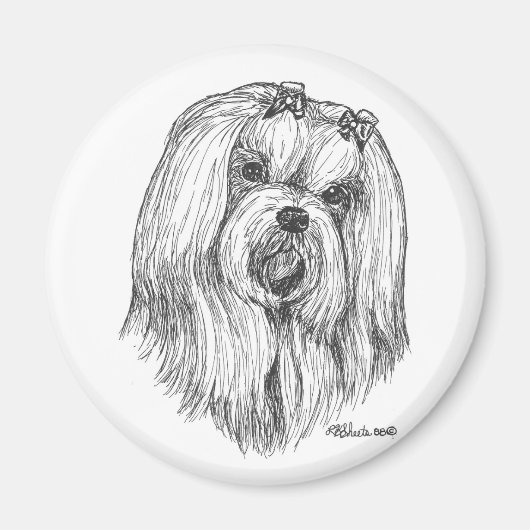 Maltese magneet (Voorkant)