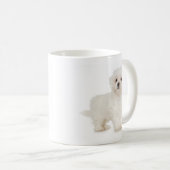 Maltese Mok (Voorkant rechts)