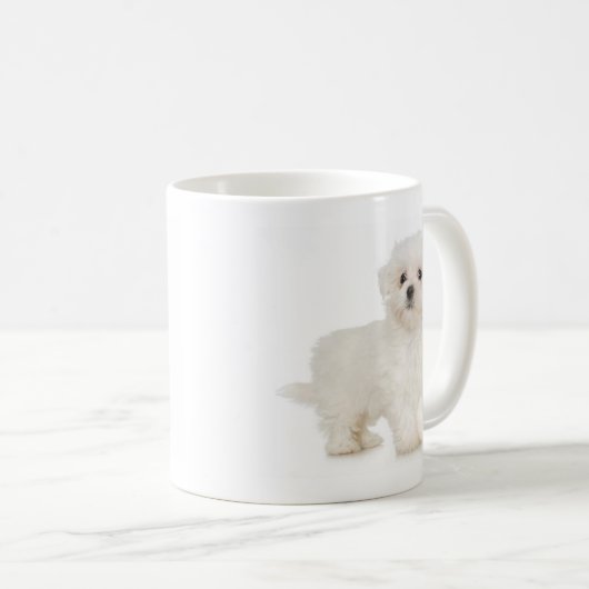Maltese Mok (Voorkant rechts)