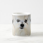 Maltese Mok (Center)