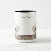 Maltese Mok van Dog (Midden)