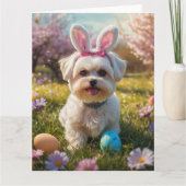 Maltese paaseieren kaart (Voorkant)