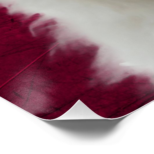 Maltese Poster Terrier (Hoek)