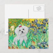 MALTESE PUP - Irissen Briefkaart (Voorkant / Achterkant)
