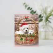 Maltese Puppies in een Basket Holiday Briefkaart (Staand voorkant)