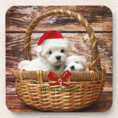 Maltese Puppies in een kerstmand Bier Onderzetter (Voorkant)