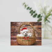 Maltese Puppies in een kerstmand Feestdagenkaart (Staand voorkant)