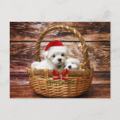 Maltese Puppies in een kerstmand Feestdagenkaart (Voorkant)