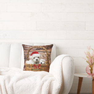 Maltese Puppies in een kerstmand Kussen