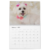 Maltese Puppies Kalender (Feb 2027)
