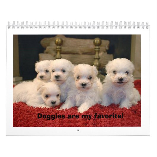 Maltese Puppies Kalender (Hoes)