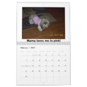 Maltese Puppies Kalender (Feb 2027)