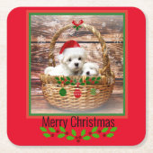 Maltese Puppies kerstmand Kartonnen Onderzetters (Voorkant)