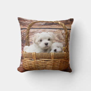 Maltese Puppies Pet Dog Sierkussen Home Decor