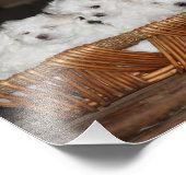 Maltese Puppies, puppy, hond, kunst Foto Afdruk (Hoek)