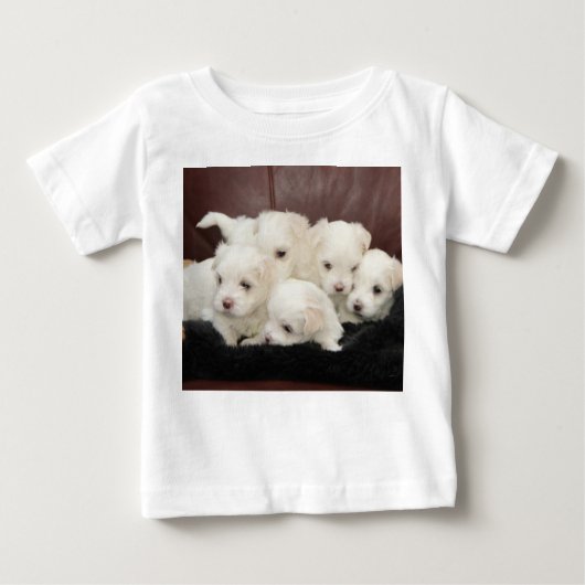 Maltese Puppies - Vijf op T-shirts (Voorkant)
