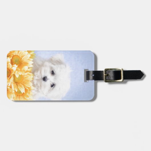 Maltese puppy bagagelabel (Voorkant horizontaal)