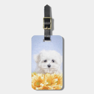 Maltese puppy bagagelabel