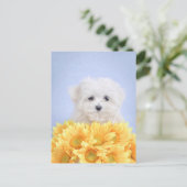 Maltese puppy briefkaart (Staand voorkant)