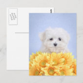 Maltese puppy briefkaart (Voorkant / Achterkant)
