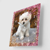 Maltese puppy, Cute en Cudst, Vierkante Klok (Hoek)