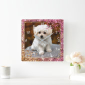 Maltese puppy, Cute en Cudst, Vierkante Klok (Huis)