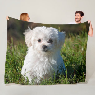 MALTESE PUPPY FLEECE DEKEN
