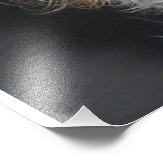 Maltese puppy foto afdruk (Hoek)