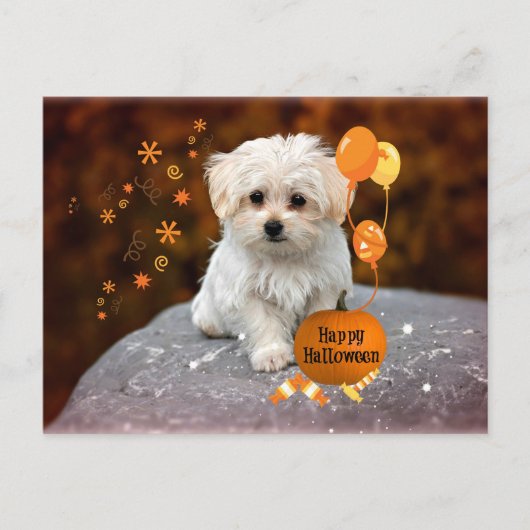 Maltese puppy, Halloween viering Uitnodiging Briefkaart (Voorkant)
