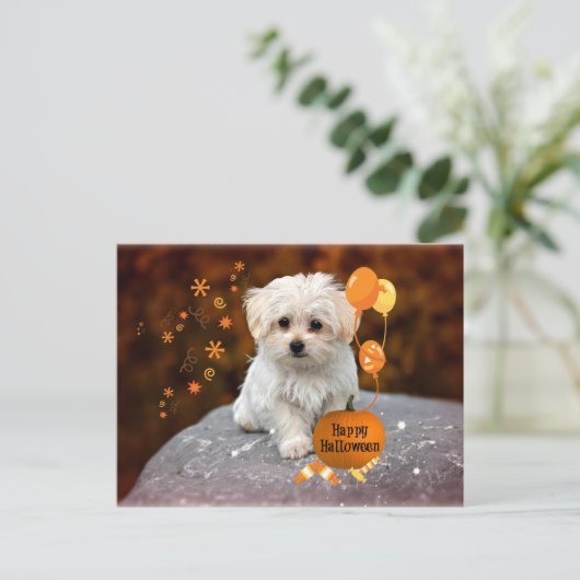 Maltese puppy, Halloween viering Uitnodiging Briefkaart (Staand voorkant)