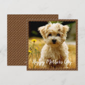 Maltese puppy Happy Moederdag Kaart (Voorkant / Achterkant)