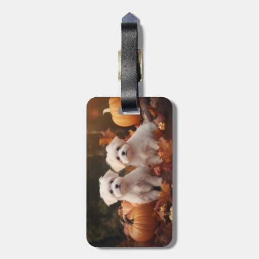 Maltese puppy herfst verrukking pompoen bagagelabel (Achterkant verticaal)