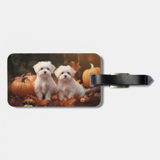 Maltese puppy herfst verrukking pompoen bagagelabel (Achterkant horizontaal)