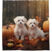 Maltese puppy herfst verrukking pompoen douchegordijn (Voorkant)