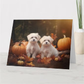 Maltese puppy herfst verrukking pompoen kaart (Voorkant)